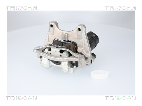 TRISCAN 8175 82204 Bremssattel