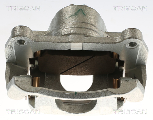 TRISCAN 8175 83101 Bremssattel