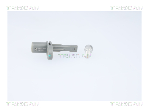 TRISCAN 8180 10119 Sensor, Raddrehzahl