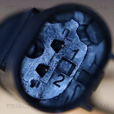 TRISCAN 8180 11129 Sensor, Raddrehzahl