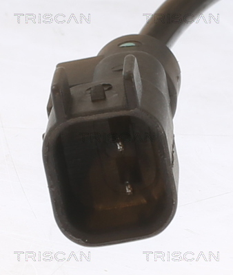 TRISCAN 8180 24208 Sensor, Raddrehzahl