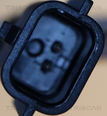 TRISCAN 8180 25119 Sensor, Raddrehzahl