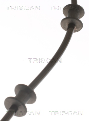 TRISCAN 8180 80120 Sensor, Raddrehzahl