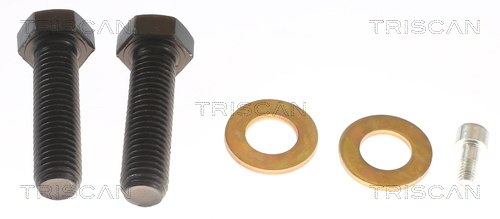 TRISCAN 8180 80139 Sensor, Raddrehzahl