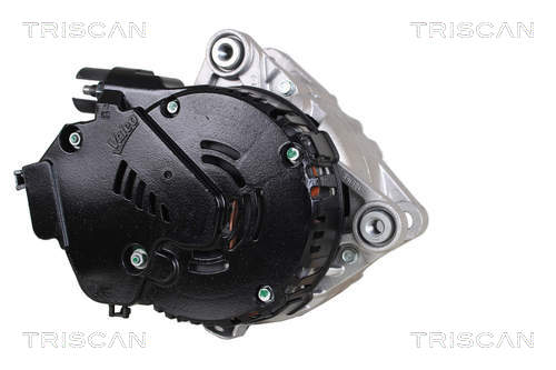 TRISCAN 8305 10002 Startergenerator