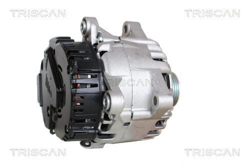 TRISCAN 8305 10002 Startergenerator