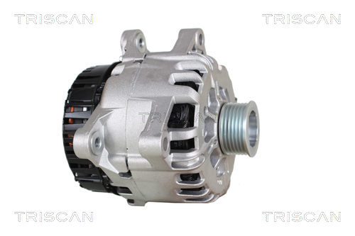 TRISCAN 8305 10002 Startergenerator