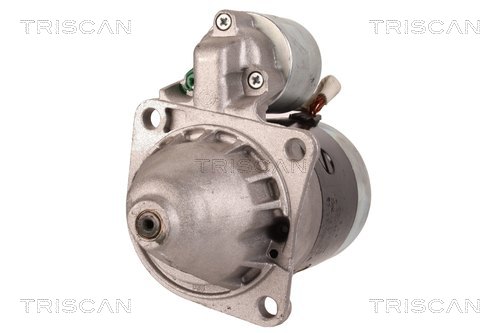 TRISCAN 8305 80001 Starter