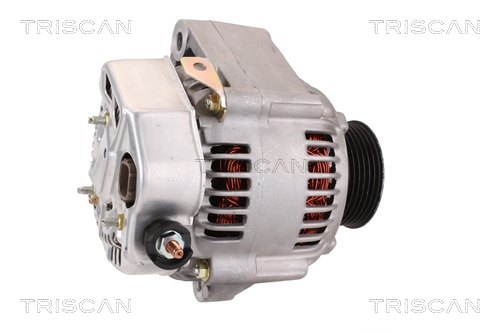 TRISCAN 8310 10004 Generator