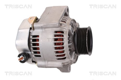 TRISCAN 8310 10004 Generator