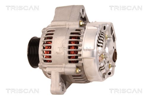 TRISCAN 8310 10004 Generator