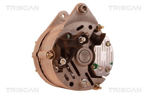 TRISCAN 8310 10009 Generator
