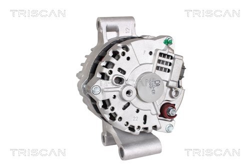 TRISCAN 8310 10012 Generator