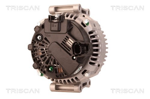 TRISCAN 8310 10066 Generator