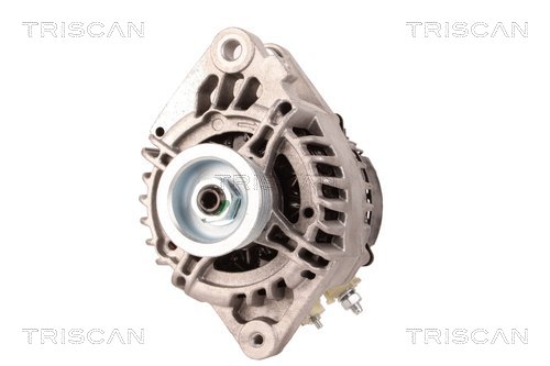TRISCAN 8310 10066 Generator