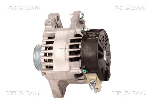 TRISCAN 8310 10066 Generator