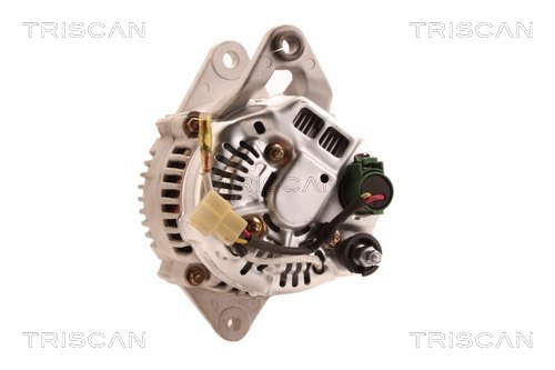 TRISCAN 8310 10067 Generator