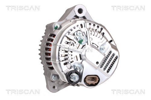TRISCAN 8310 10072 Generator