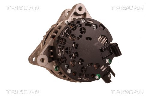 TRISCAN 8310 10100 Generator