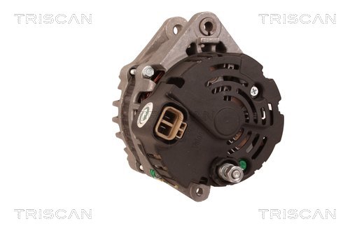 TRISCAN 8310 10111 Generator