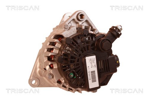 TRISCAN 8310 10112 Generator