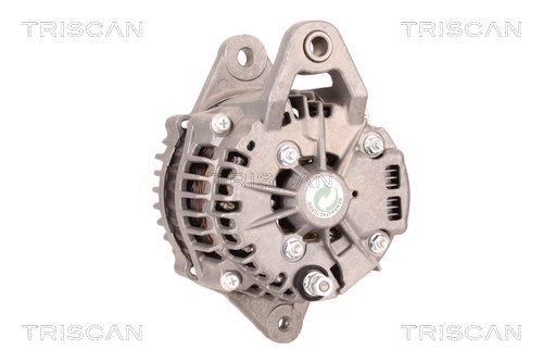 TRISCAN 8310 10116 Generator