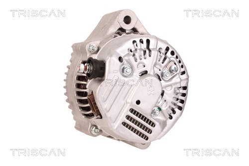TRISCAN 8310 10118 Generator