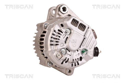 TRISCAN 8310 10131 Generator