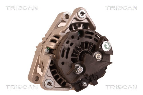 TRISCAN 8310 10138 Generator