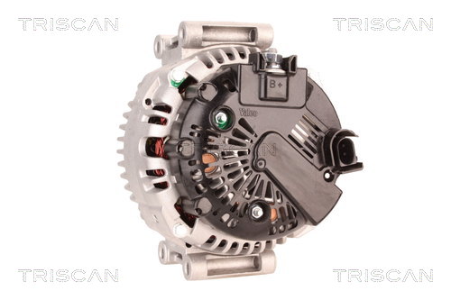 TRISCAN 8310 10161 Generator