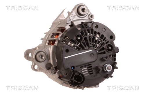 TRISCAN 8310 10166 Generator