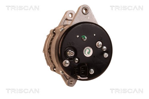 TRISCAN 8310 10167 Generator