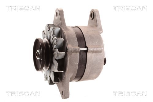 TRISCAN 8310 10177 Generator