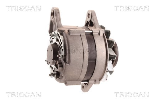 TRISCAN 8310 10177 Generator
