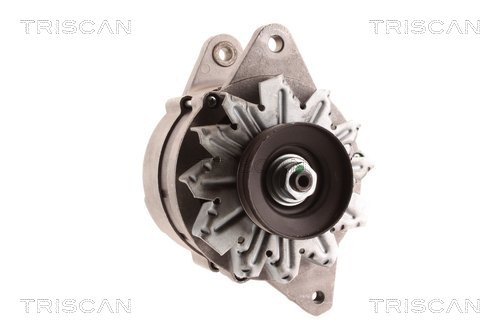 TRISCAN 8310 10177 Generator