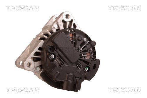 TRISCAN 8310 13031 Generator