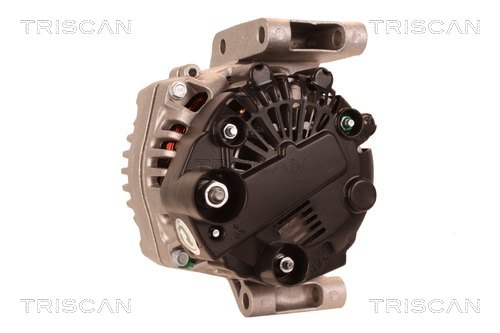 TRISCAN 8310 13039 Generator