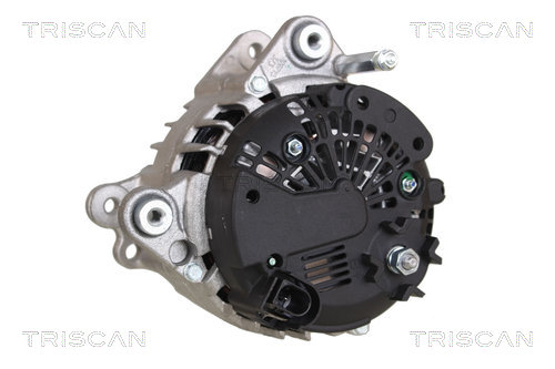 TRISCAN 8310 24009 Generator