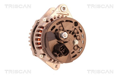 TRISCAN 8310 25015 Generator
