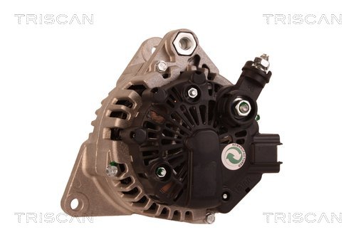 TRISCAN 8310 29011 Generator