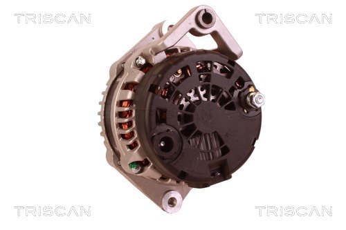 TRISCAN 8310 29017 Generator