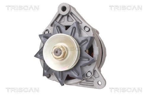 TRISCAN 8310 29037 Generator