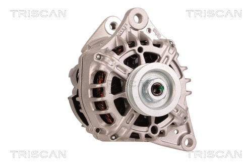 TRISCAN 8310 29084 Generator