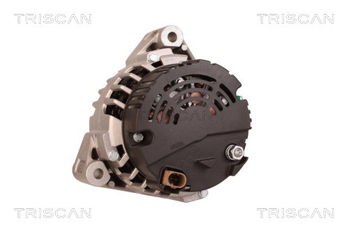 TRISCAN 8310 29086 Generator