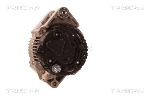 TRISCAN 8310 40004 Generator