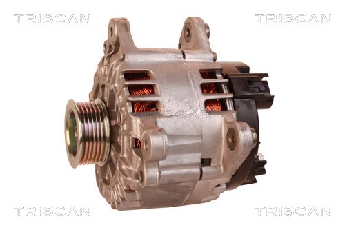 TRISCAN 8310 42002 Generator