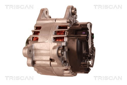 TRISCAN 8310 42002 Generator