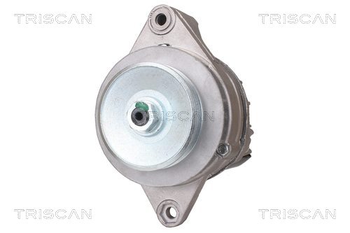 TRISCAN 8310 50003 Generator