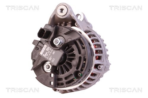 TRISCAN 8310 68006 Generator