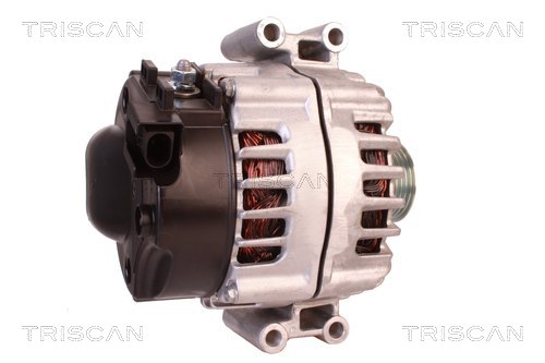 TRISCAN 8310 68007 Generator